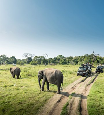 middle east travel 360x400 1